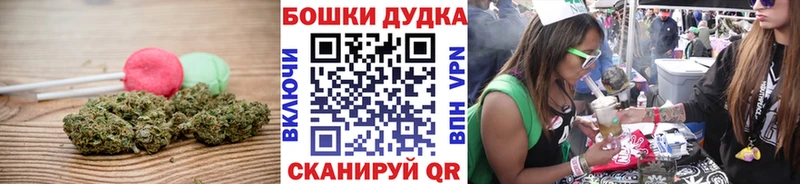 Canna-Cookies конопля  Купить  Асино 