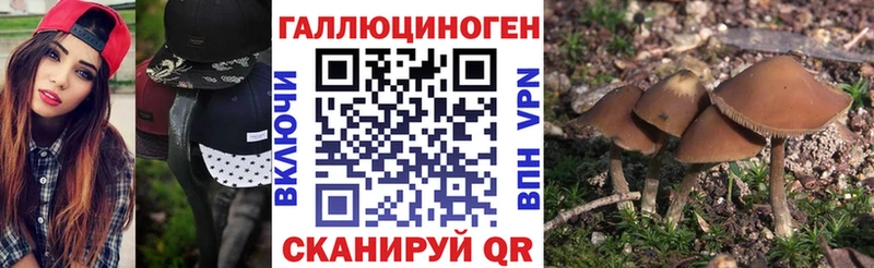 Галлюциногенные грибы мицелий  Купить где  Асино 
